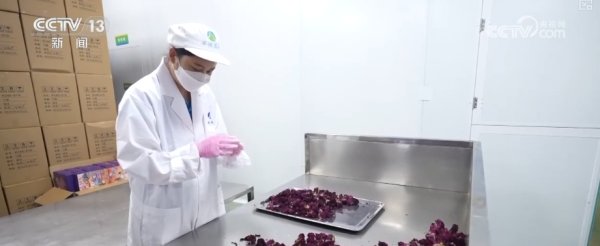 股票配资开户网站 年轻人端起“新饭碗”&#32;职业“上新”折射经济发展动能之变